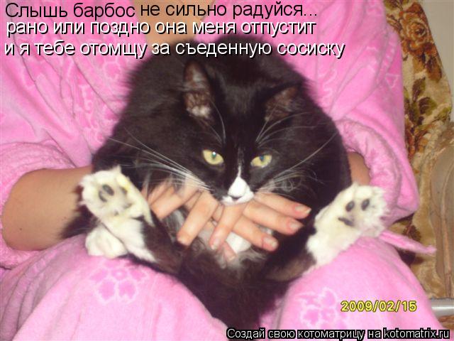 Котоматрица: Слышь барбос не сильно радуйся... рано или поздно она меня отпустит и я тебе отомщу за съеденную сосиску
