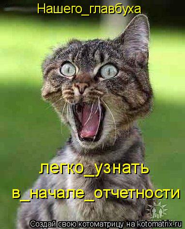Котоматрица: Нашего_главбуха легко_узнать в_начале_отчетности