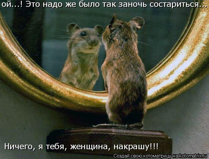 ой...! Это надо же было так заночь состариться... Ничего, я тебя, женщина, накрашу!!!... Котоматрица: ой...! Это надо же было так заночь состариться... Ничего, я тебя, женщина, накрашу!!!