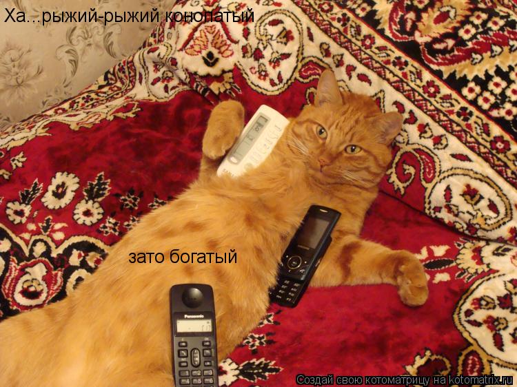 Ха...рыжий-рыжий конопатый зато богатый... Котоматрица: Ха...рыжий-рыжий конопатый зато богатый