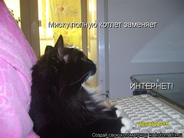 Миску полную котлет заменяет ИНТЕРНЕТ!... Котоматрица: Миску полную котлет заменяет ИНТЕРНЕТ!