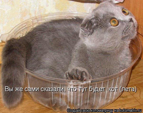 Вы же сами сказали, что тут будет кот (лета)... Котоматрица: Вы же сами сказали, что тут будет кот (лета)