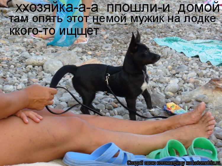 Котоматрица: ххозяйка-а-а  ппошли-и  домой там опять этот немой мужик на лодке ккого-то ищщет