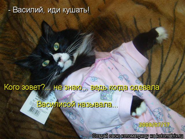 - Василий, иди кушать! Василисой называла... Кого зовет?... не знаю... ведь когда одевала... Котоматрица: - Василий, иди кушать! Василисой называла... Кого зовет?... не знаю... ведь когда одевала