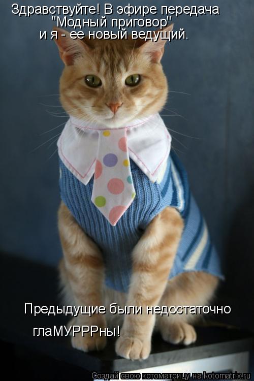 Здравствуйте! В эфире передача "Модный приговор" и я - ее новый ведущий. Предыдущие были недостаточно... Котоматрица: Здравствуйте! В эфире передача "Модный приговор" и я - ее новый ведущий. Предыдущие были недостаточно глаМУРРРны!