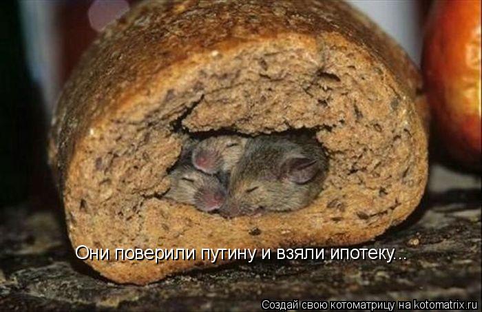 Они поверили путину и взяли ипотеку...... Котоматрица: Они поверили путину и взяли ипотеку...