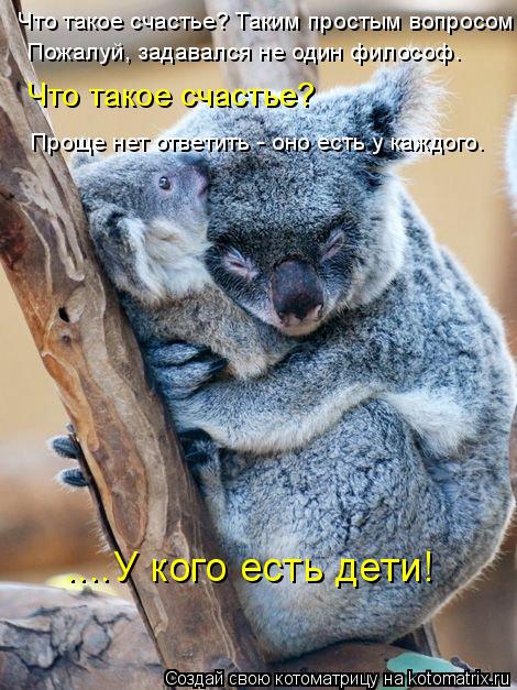 Котоматрица: Что такое счастье? Таким простым вопросом, Пожалуй, задавался не один философ. Что такое счастье?  Проще нет ответить - оно есть у каждого.  ....