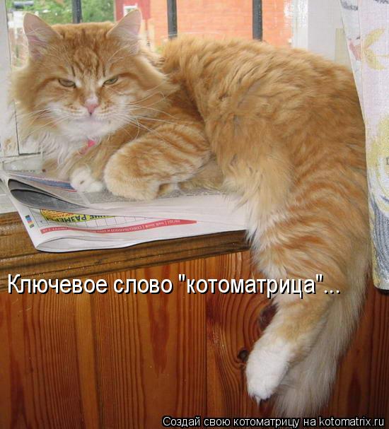Ключевое слово "котоматрица"...... Котоматрица: Ключевое слово "котоматрица"...