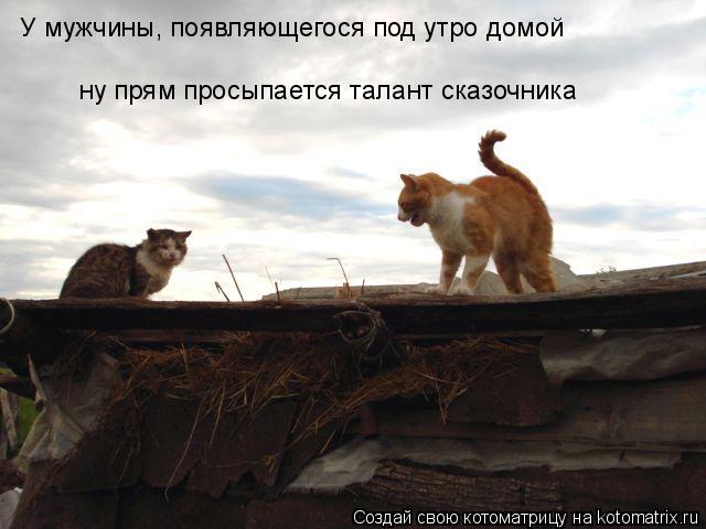 Котоматрица: У мужчины, появляющегося под утро домой ну прям просыпается талант сказочника