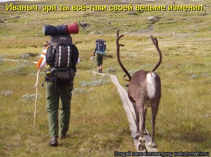 Иваныч, зря ты всё-таки своей ведьме изменил.... Котоматрица: Иваныч, зря ты всё-таки своей ведьме изменил.