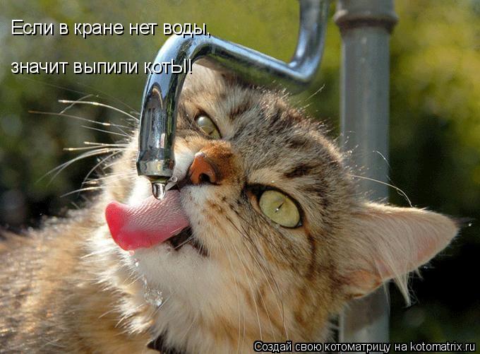 Котоматрица: Если в кране нет воды, значит выпили котЫ!