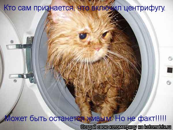 Кто сам признается, что включил центрифугу. Может быть останется живым. Но не факт!!!!!... Котоматрица: Кто сам признается, что включил центрифугу. Может быть останется живым. Но не факт!!!!!