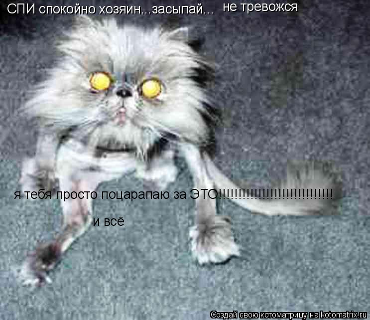 Котоматрица: СПИ спокойно хозяин...засыпай... не тревожся я тебя просто поцарапаю за ЭТО!!!!!!!!!!!!!!!!!!!!!!!!!!!!! и всё