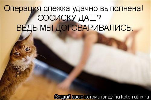 Котоматрица: Операция слежка удачно выполнена! СОСИСКУ ДАШ?  ВЕДЬ МЫ ДОГОВАРИВАЛИСЬ.