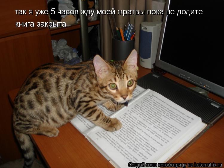 так я уже 5 часов жду моей жратвы пока не додите книга закрыта... Котоматрица: так я уже 5 часов жду моей жратвы пока не додите книга закрыта