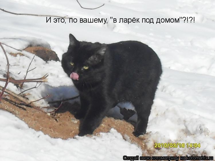 Котоматрица: И это, по вашему, "в ларёк под домом"?!?!
