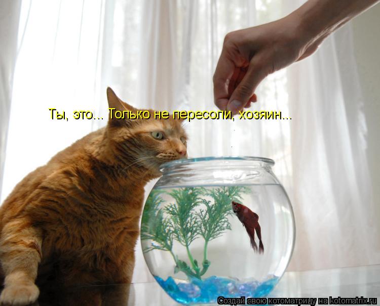 Котоматрица: Ты, это... Только не пересоли, хозяин...