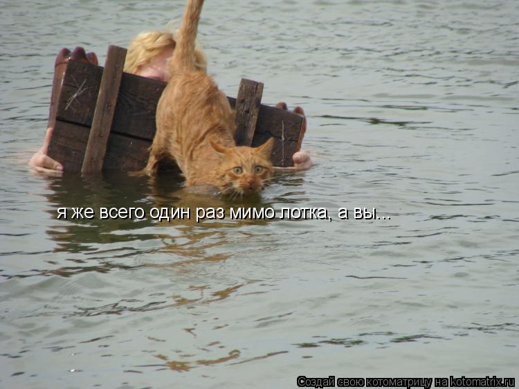 Котоматрица: я же всего один раз мимо лотка, а вы...