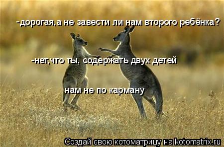 дорогая,а не завести ли нам второго ребёнка? -нет,что ты, содержать двух детей нам не по карману -... Котоматрица: дорогая,а не завести ли нам второго ребёнка? -нет,что ты, содержать двух детей нам не по карману -