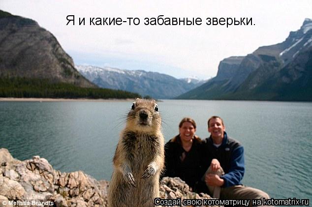 Котоматрица: Я и какие-то забавные зверьки.