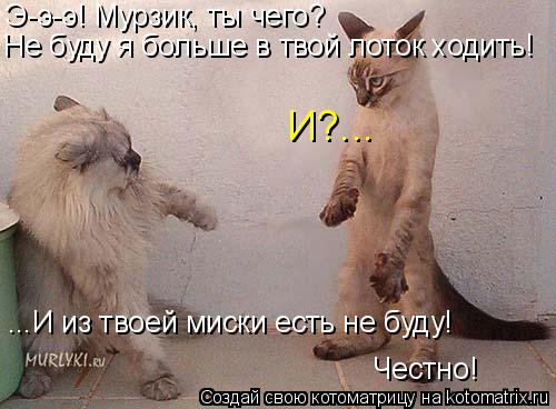Котоматрица: Э-э-э! Мурзик, ты чего? Не буду я больше в твой лоток ходить! Честно! И?... ...И из твоей миски есть не буду!