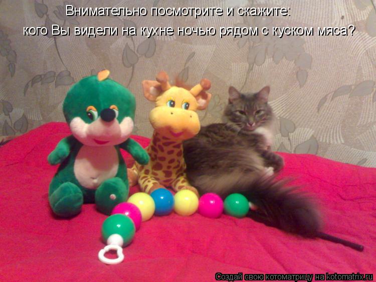 Котоматрица: Внимательно посмотрите и скажите:   кого Вы видели на кухне ночью рядом с куском мяса?  кого Вы видели на кухне ночью рядом с куском мяса?