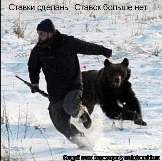 Котоматрица: Ставки сделаны. Ставок больше нет.