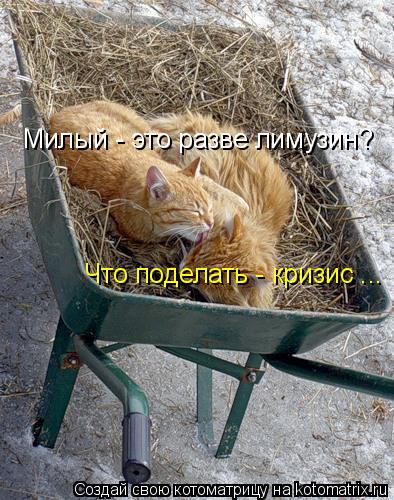 Котоматрица: Милый - это разве лимузин? Что поделать - кризис ...
