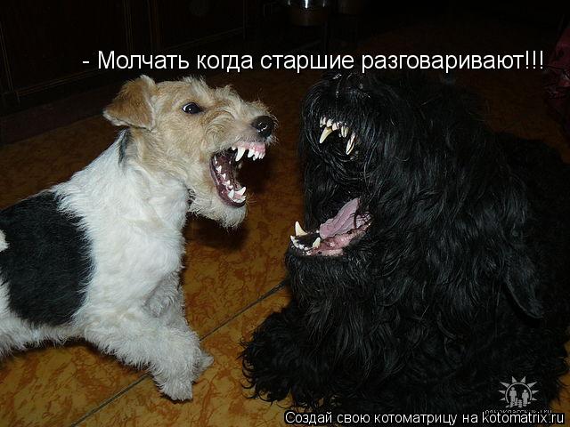 Котоматрица: - Молчать когда старшие разговаривают!!!