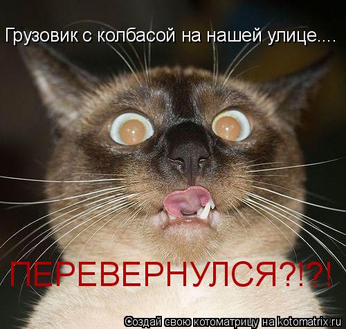 Котоматрица: Грузовик с колбасой на нашей улице....  Грузовик с колбасой на нашей улице....  Грузовик с колбасой на нашей улице....  ПЕРЕВЕРНУЛСЯ?!?!