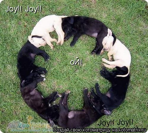 Joy!! Joy!! Joy!! Joy!! оЙ!... Котоматрица: Joy!! Joy!! Joy!! Joy!! оЙ!