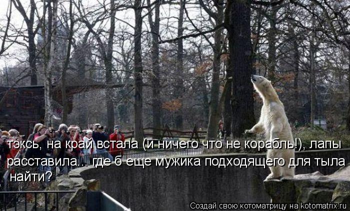 Котоматрица: тэксь, на край встала (и ничего что не корабль!), лапы расставила... где б еще мужика подходящего для тыла найти? найти?