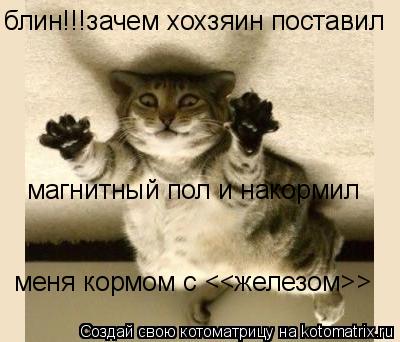 Котоматрица: блин!!!зачем хохзяин поставил магнитный пол и накормил меня кормом с <<железом>>