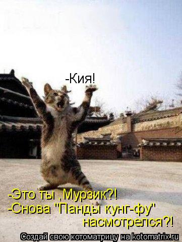 -Кия! -Это ты ,Мурзик?! -Снова "Панды кунг-фу" насмотрелся?!... Котоматрица: -Кия! -Это ты ,Мурзик?! -Снова "Панды кунг-фу" насмотрелся?!