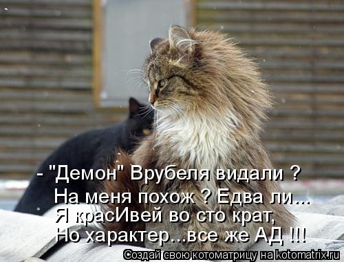 - "Демон" Врубеля видали ? Я красИвей во сто крат, Но характер...все же АД !!! На меня похож ? Едва л... Котоматрица: - "Демон" Врубеля видали ? Я красИвей во сто крат, Но характер...все же АД !!! На меня похож ? Едва ли...