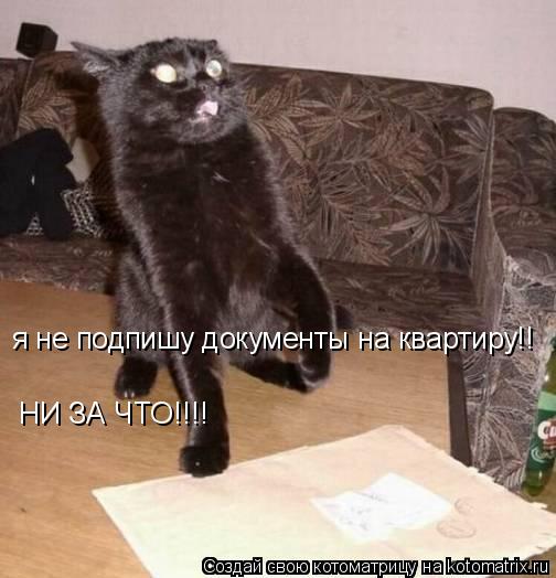 я не подпишу документы на квартиру!! НИ ЗА ЧТО!!!!... Котоматрица: я не подпишу документы на квартиру!! НИ ЗА ЧТО!!!!