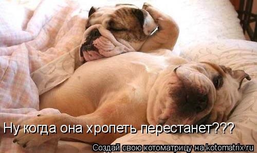 Ну когда она хропеть перестанет??? Ну когда она хропеть перестанет???... Котоматрица: Ну когда она хропеть перестанет??? Ну когда она хропеть перестанет???