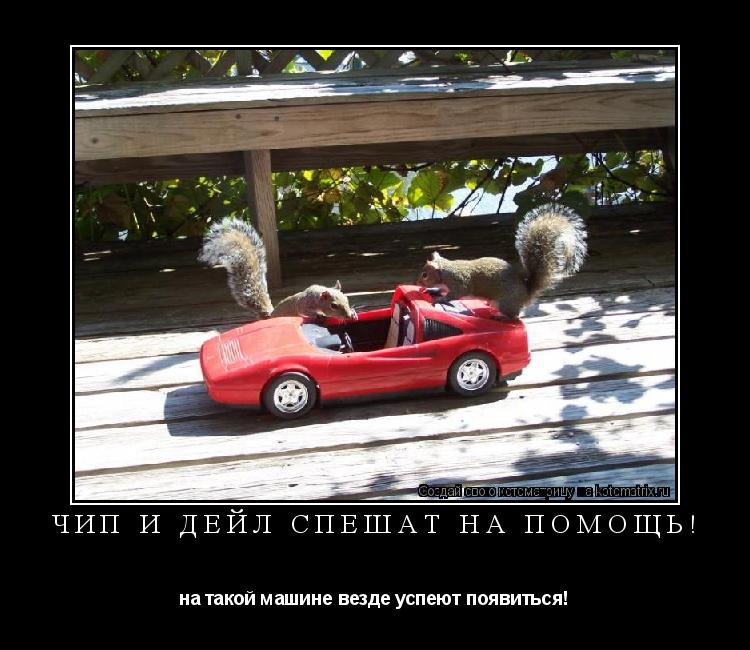Чип и Дейл спешат на помощь! на такой машине везде успеют появиться!... Котоматрица: Чип и Дейл спешат на помощь! на такой машине везде успеют появиться!