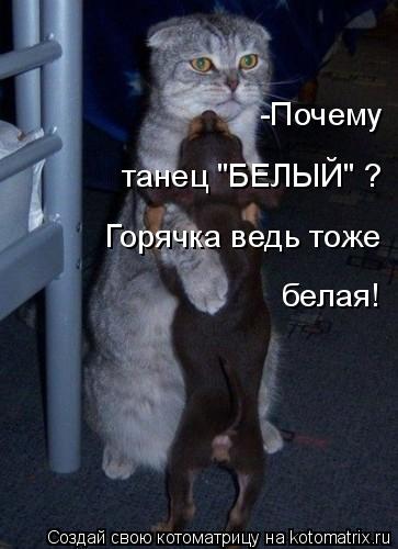 -Почему танец "БЕЛЫЙ" ? Горячка ведь тоже белая!... Котоматрица: -Почему танец "БЕЛЫЙ" ? Горячка ведь тоже белая!