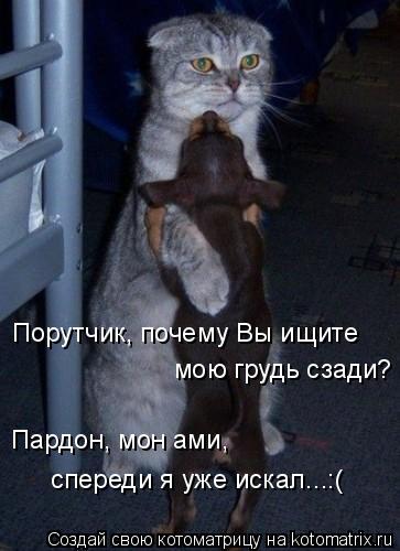 Котоматрица: Порутчик, почему Вы ищите мою грудь сзади? Пардон, мон ами,  спереди я уже искал...:(