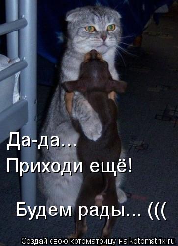 Котоматрица: Да-да... Приходи ещё! Будем рады... (((