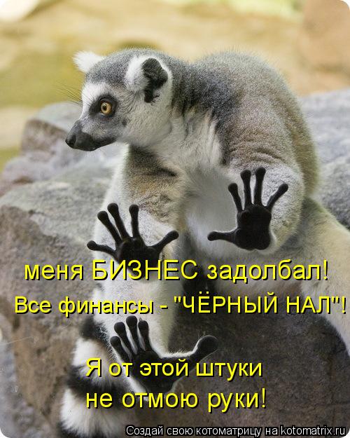 меня БИЗНЕС задолбал! Все финансы - "ЧЕРНЫЙ НАЛ"! Я от этой штуки не отмою руки! ..... Котоматрица: меня БИЗНЕС задолбал! Все финансы - "ЧЕРНЫЙ НАЛ"! Я от этой штуки не отмою руки! ..