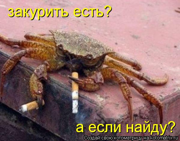 закурить есть? а если найду?... Котоматрица: закурить есть? а если найду?