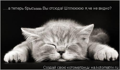 Котоматрица: .....а теперь брысьььь Вы отсюда! Шплюююю я,че не видно?