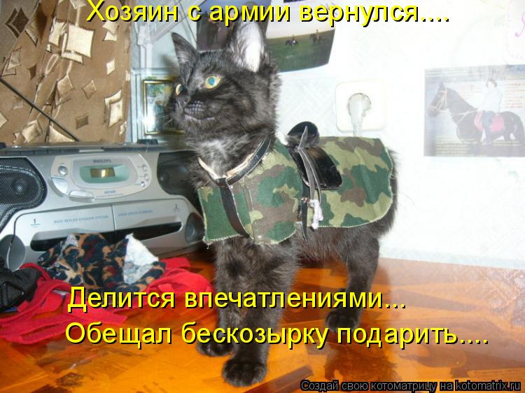 Котоматрица: Хозяин с армии вернулся…... Обещал бескозырку подарить…... Делится впечатлениями….…