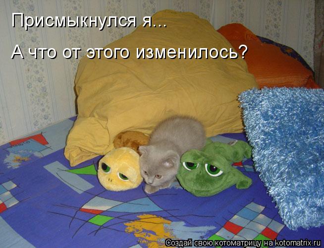 Котоматрица: Присмыкнулся я... А что от этого изменилось?