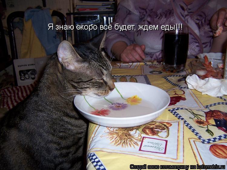 Котоматрица: Я знаю скоро всё будет, ждем еды!!!