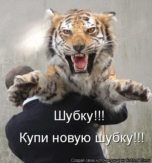 Котоматрица: Шубку!!!  Купи новую шубку!!!