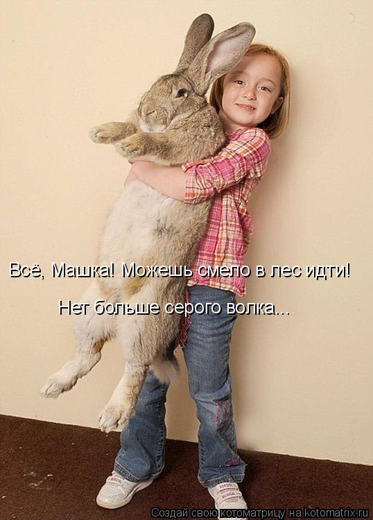 Всё, Машка! Можешь смело в лес идти! Нет больше серого волка...... Котоматрица: Всё, Машка! Можешь смело в лес идти! Нет больше серого волка...