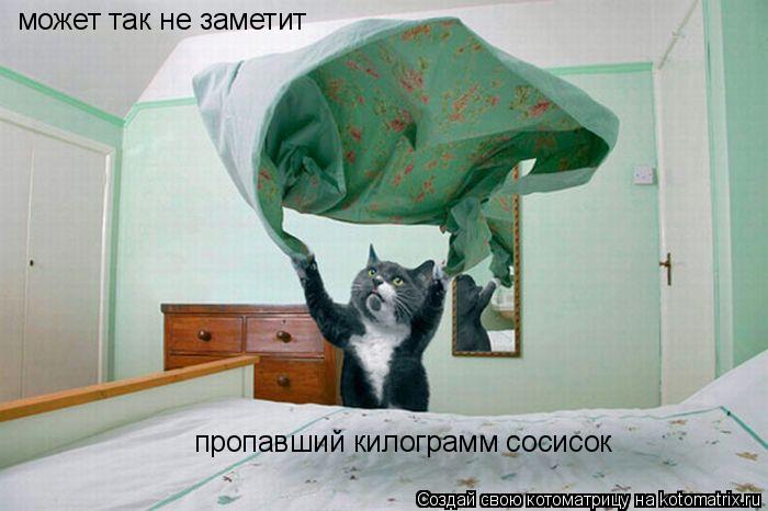 Котоматрица: может так не заметит пропавший килограмм сосисок